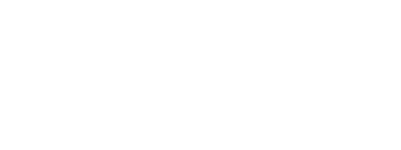 Synergy Solar White Logo